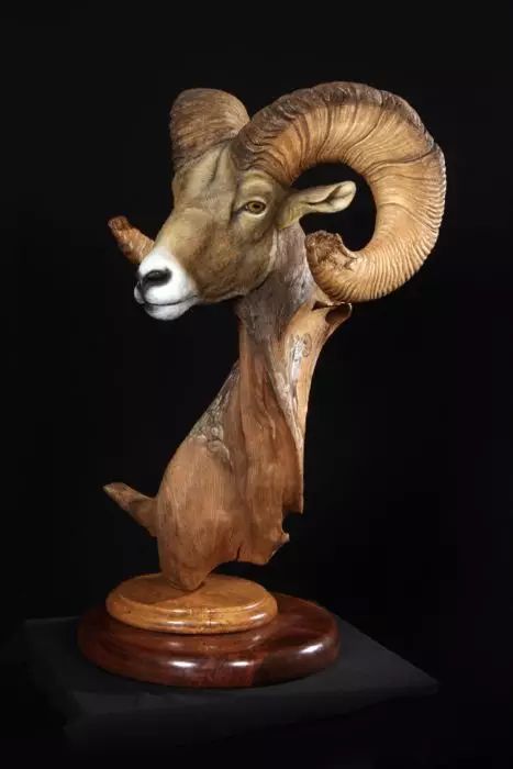 神奇的木雕动物，太逼真了！