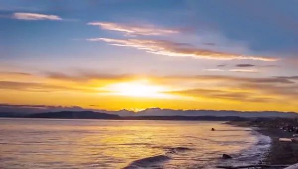 醉美单簧管音乐《岸边的陌生人》醉人心弦！