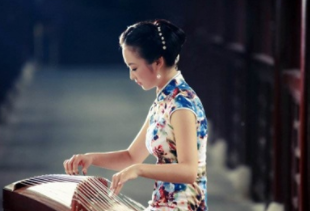 〔精品课程〕2024更新版《古筝自学教程大全》