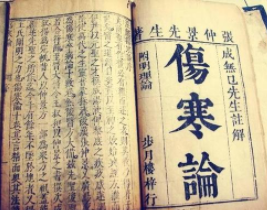 〔精品课程〕2024更新版《郝万山中医讲座全集》