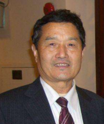 〔精品课程〕2024更新版《王文远平衡针灸全集》