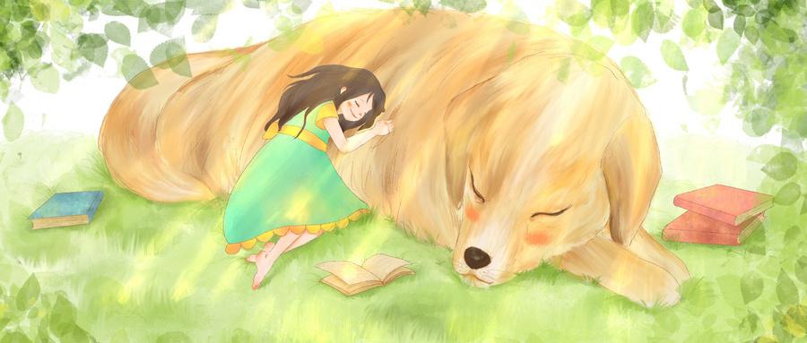 曾仕强讲解周易全集,百家讲坛曾仕强全集易经的智慧