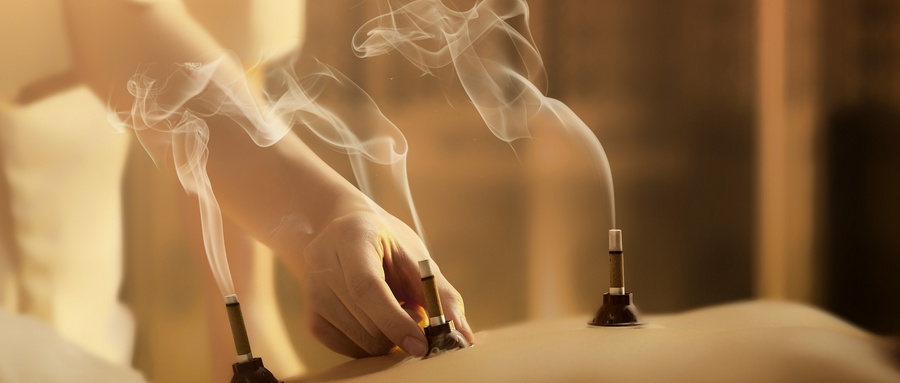 [2024更新版] 自学中医教程大全, 中医精髓大全入门必读